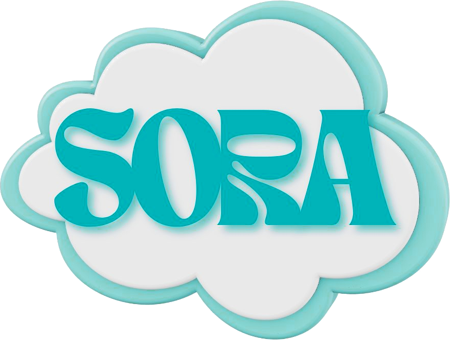 Sora Studio